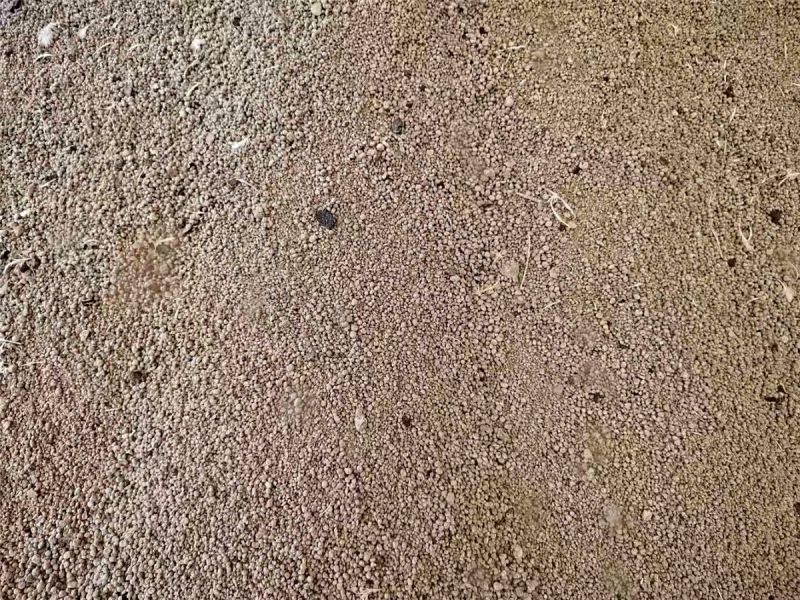 雞糞烘干設(shè)備安裝效果